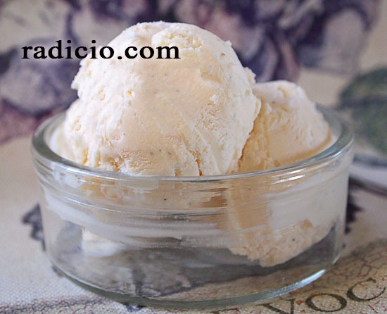 Rich vanilla ice cream